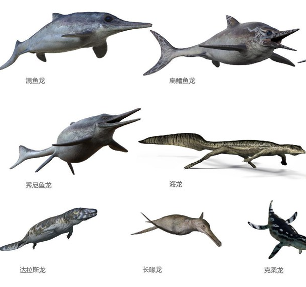 Restoration Models of Ichthyos