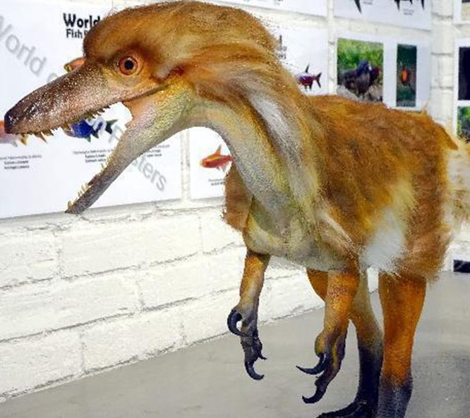 Bionic Sculptural Reconstructi