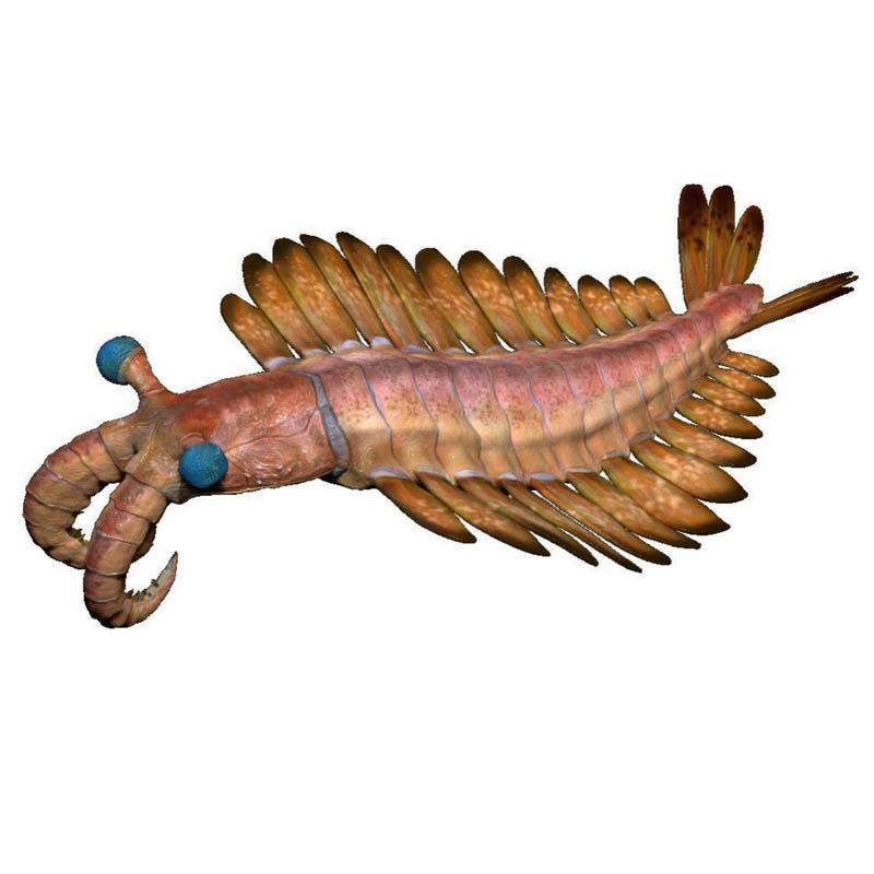 Bionic Sculptural Reconstructi