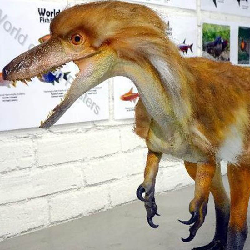 Bionic Sculptural Reconstructi