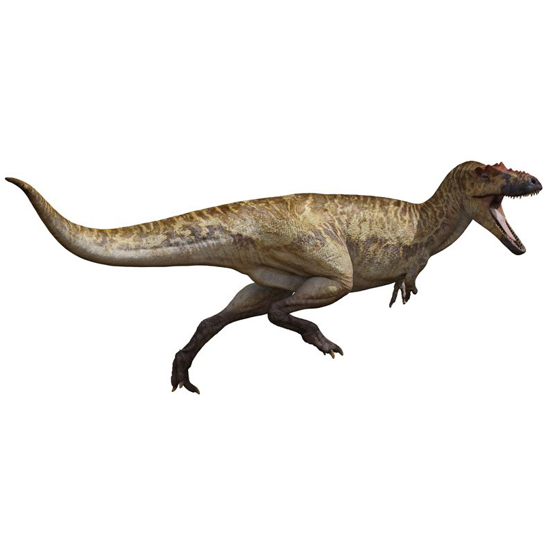 Alioramus
