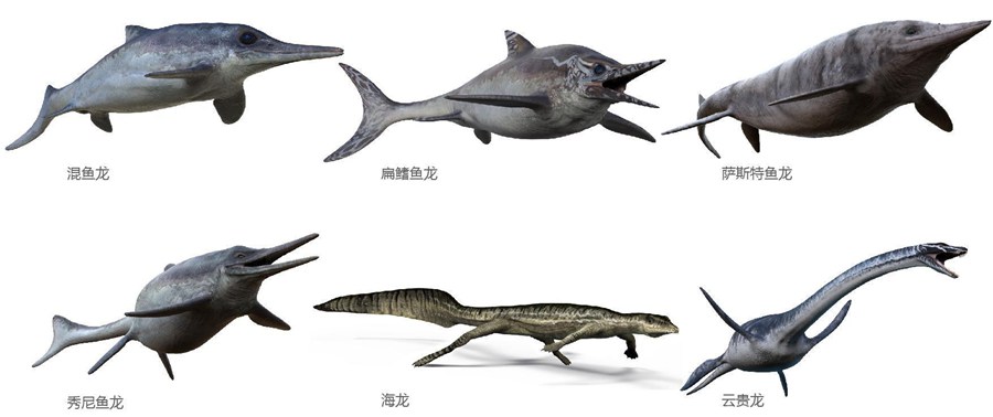 鱼龙海爬类复原模型