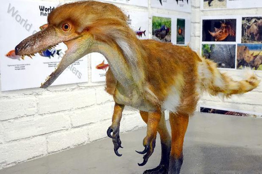 仿生雕塑模型复原类——植毛类恐龙复原模型